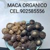 productorganico