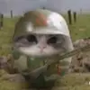myxa_naleiki