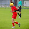 vorisek7