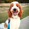 lifeofkramer
