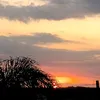 eagsantos