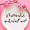 vickyqureshi3329