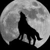 laith_r69