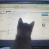 mewkixyh_
