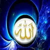 user7876158859063