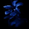 cpuxyw