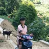 buidinhnguyen742010