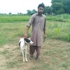 muhammad.kashif.gu