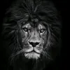 userl204ghqs68