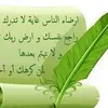 nouralislam986