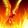 phoenix_rising777888