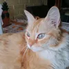 peludoaparicio308