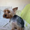 useranna102