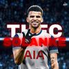 thfcsolanke