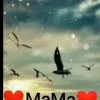 omaymahamza11