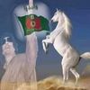 user9571381379751