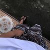فيكي عدي