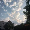 tphuongtphuong378