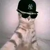 umietummy