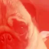 mr_storm00