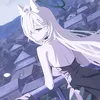 notnffxz