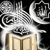 diyarafardani861