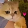 ayat_arhmane