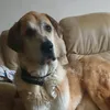 supportedffh3years