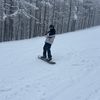 harrywills2429