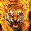 miquel_alinskie80