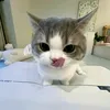 phuonganh_kj