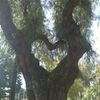 .baran.s