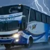 rikimamani90