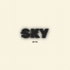 Skyy