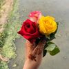 mohona_islam72
