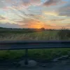 molly_m_2555