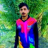 zaighamali621