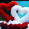 user684507374107