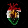 user1ku9jtux9z