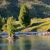 othman_hussein1