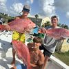 big_d587