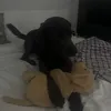 maya.esnn45