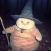 the._cat._wizard