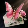 vanessa_ft