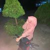 trianiiiput