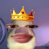 arqurwaxcy