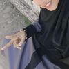 hawa_11337