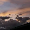 yaniiagnes