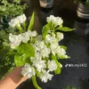 kieu_linh_2507