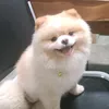 aryasoxlucky